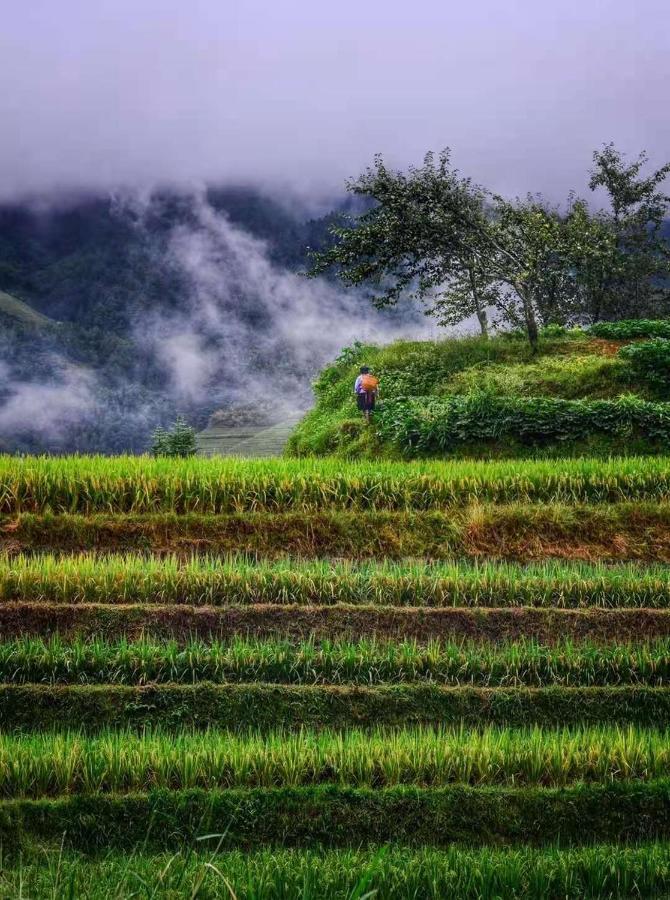 Longji Terrace La Vie Inn Луншэн Экстерьер фото